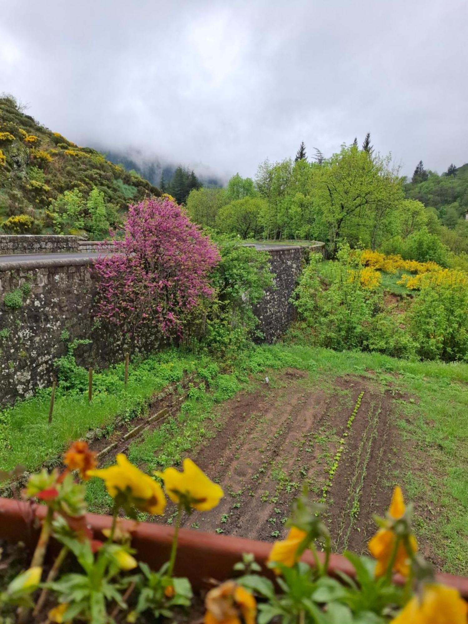 Auberge Arthea Laviolle Zewnętrze zdjęcie