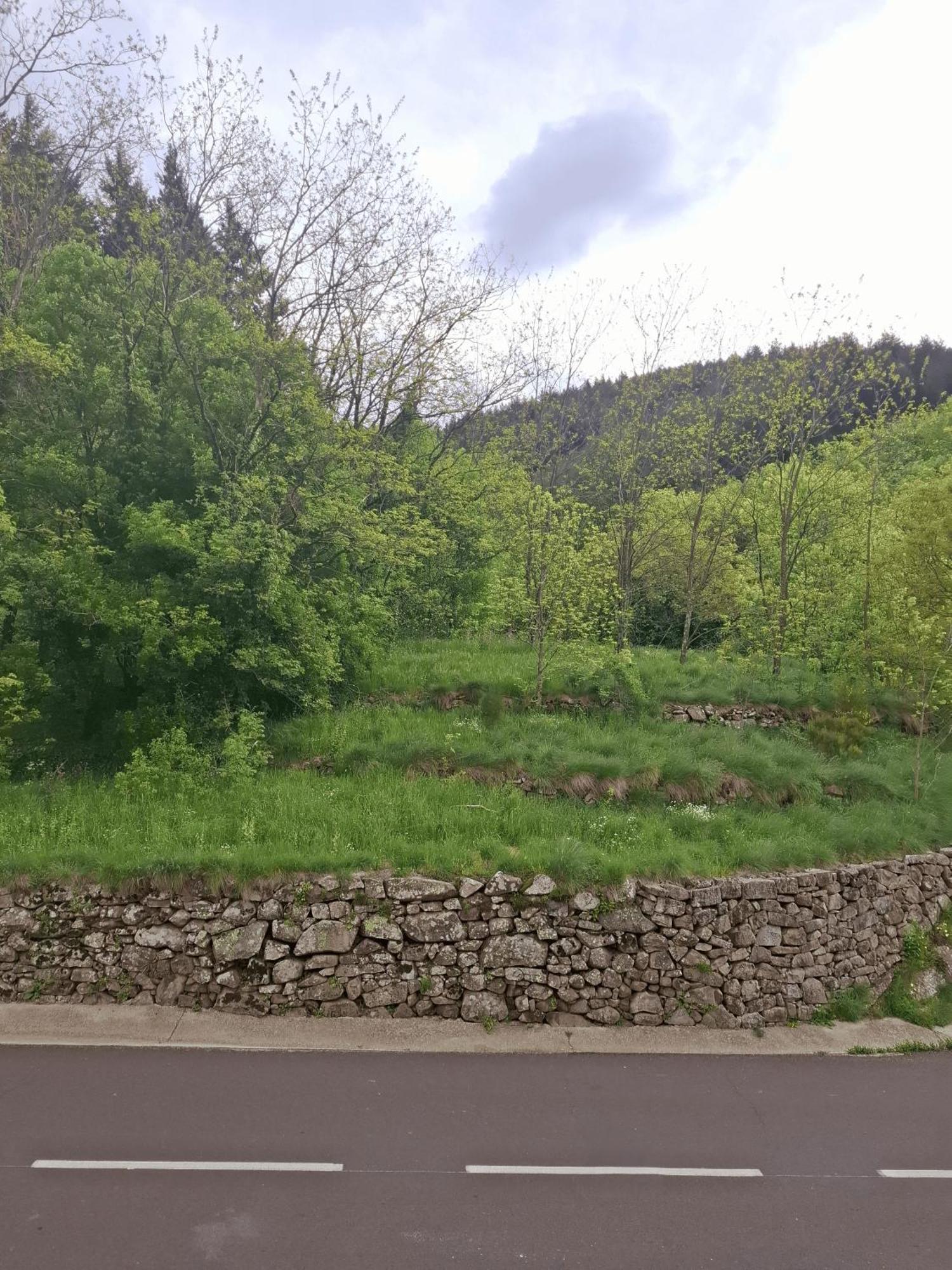 Auberge Arthea Laviolle Pokój zdjęcie